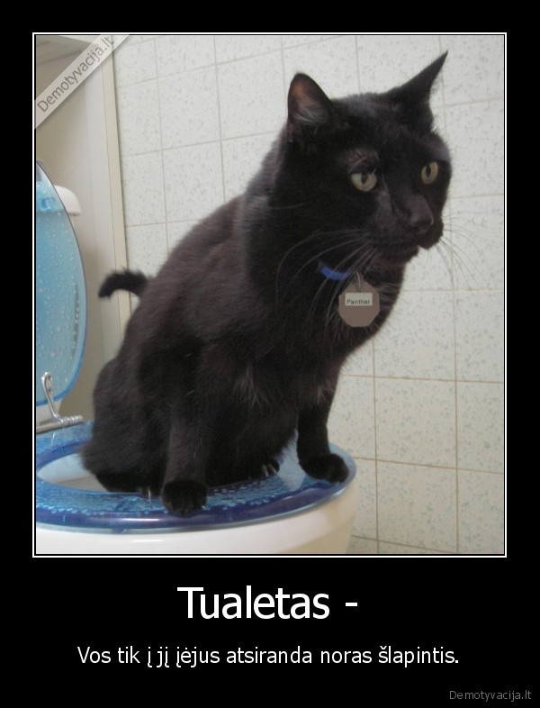 Tualetas -