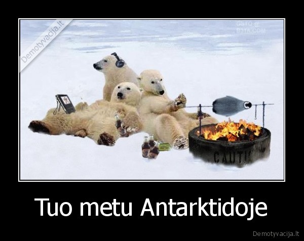 Tuo metu Antarktidoje