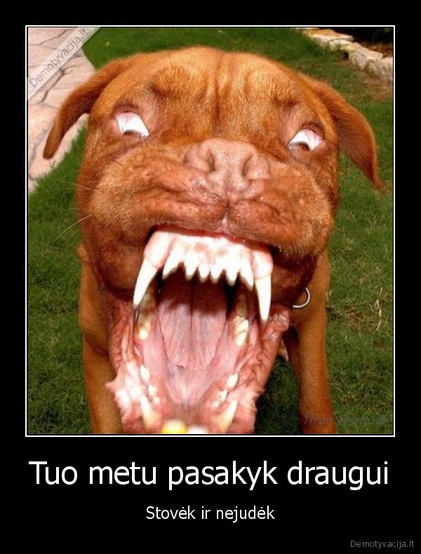 suo, puola, bek, mirk, ligonine, morgas, kapas