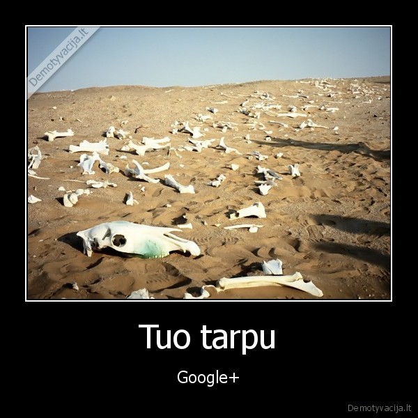 Tuo tarpu
