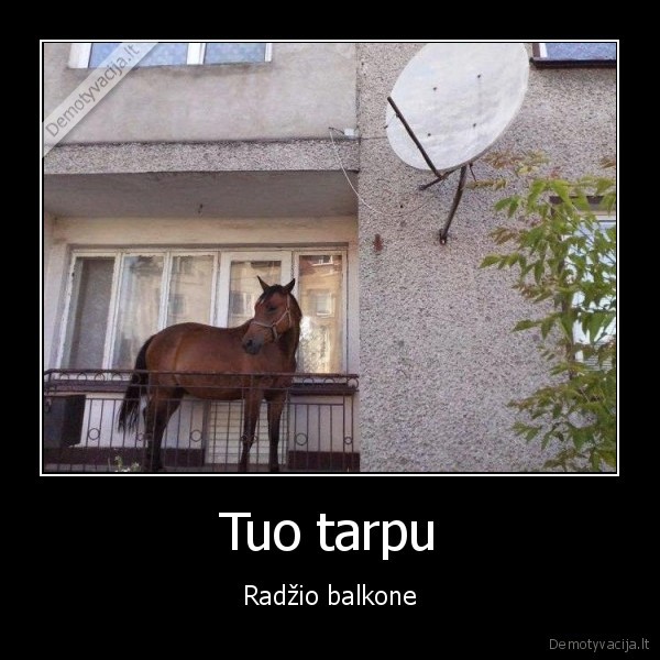 balkonas,radzis,radzio, arklys,arklys, balkone