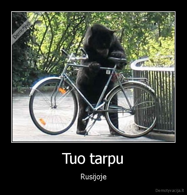 tingus,meskinas,nesprende,pasivazineti