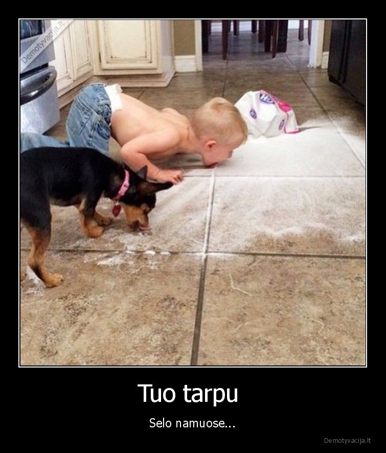 selas,balta,kur,dairais