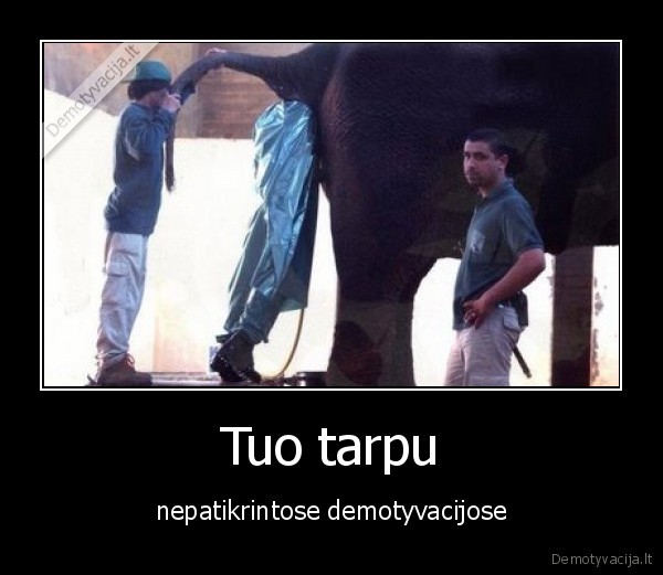 nepatikrintos, demotyvacijos,geles, sudo, kruvoje