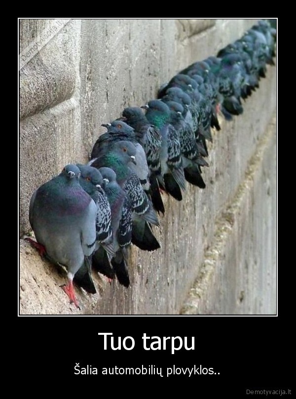 Tuo tarpu