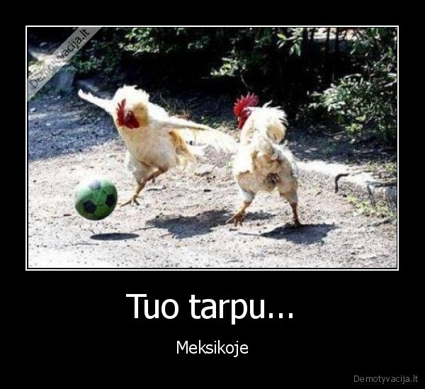 Tuo tarpu...