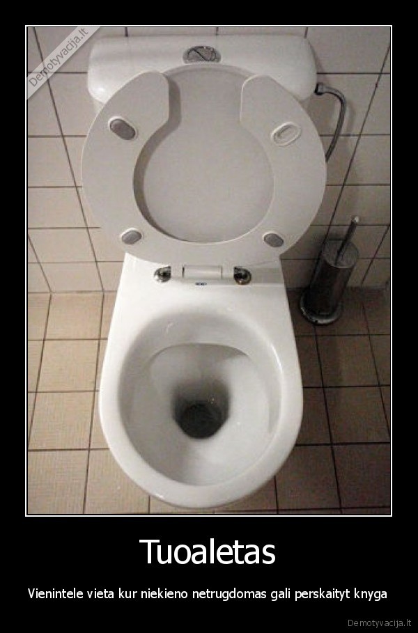 knyga, toletas
