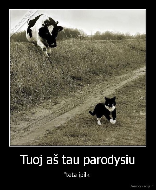 katinas,karve,pikta, karve