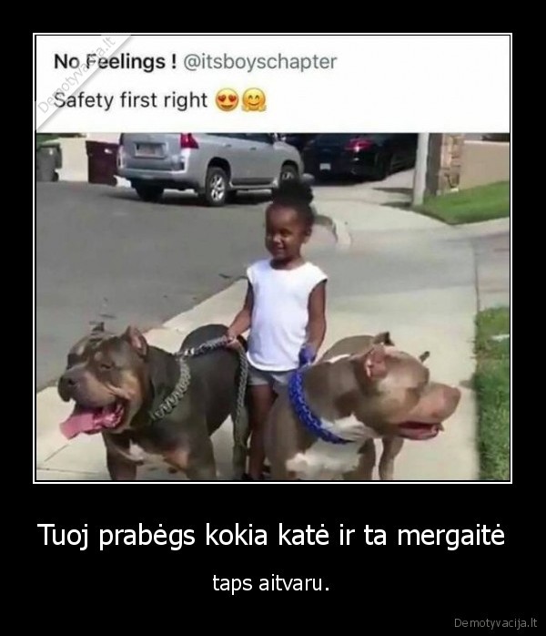 suo,sunys,kate,katinas,mergaite