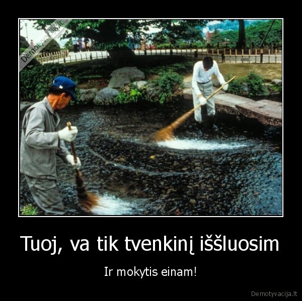 mokslai,tingi, mokytis