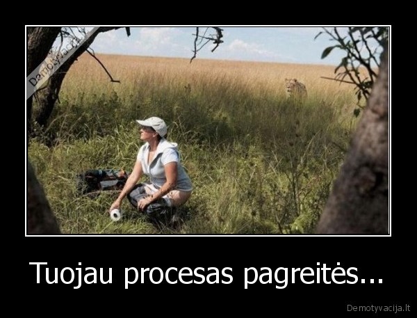 procesas