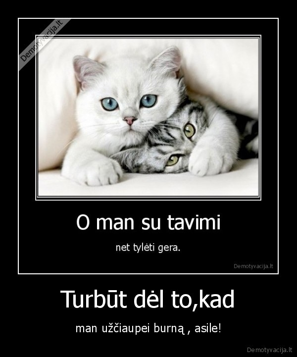 kaip, isiunkt, capps, lokk, ir, kodel, kubilius, kiekvienose, zhymese