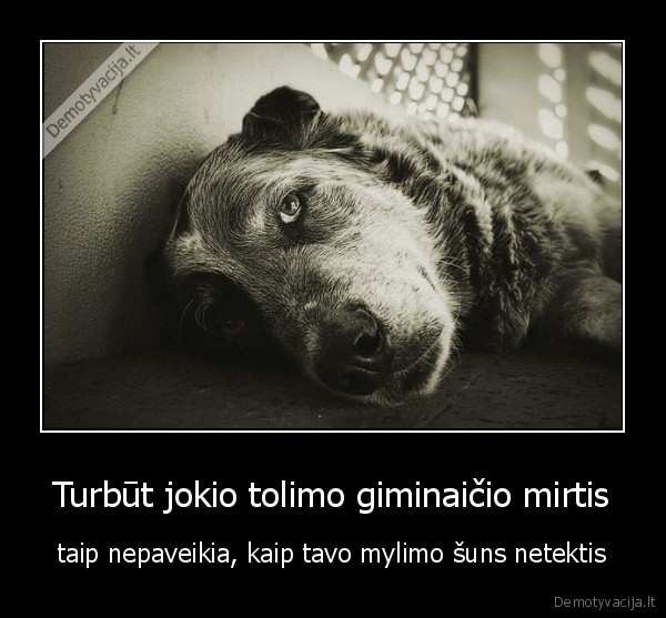Turbūt jokio tolimo giminaičio mirtis
