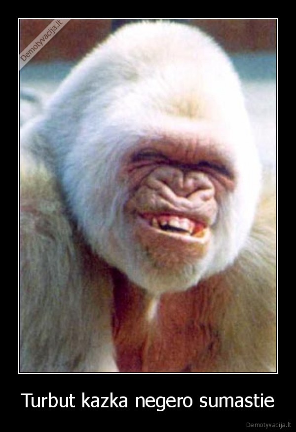 Turbut kazka negero sumastie