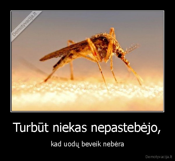 Turbūt niekas nepastebėjo,