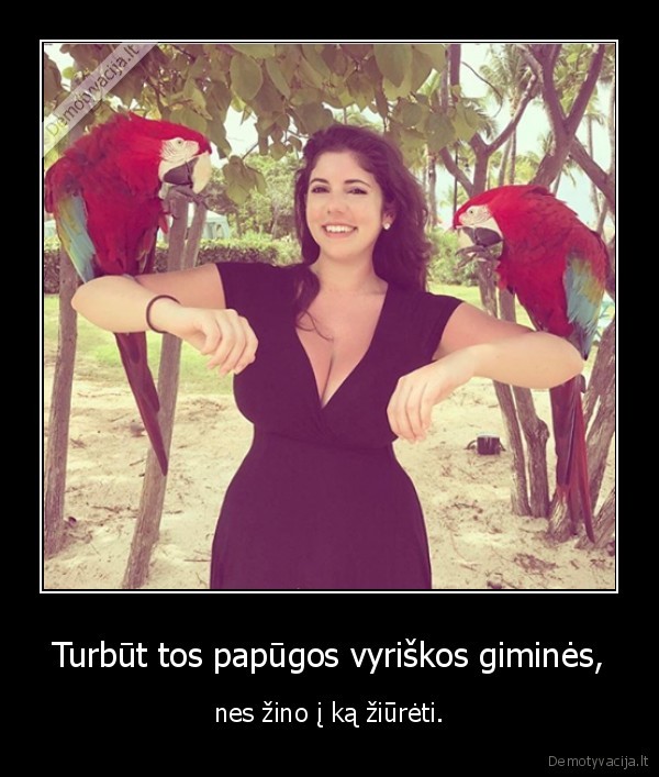 papugos,papai,krutine,vyrai,mergina