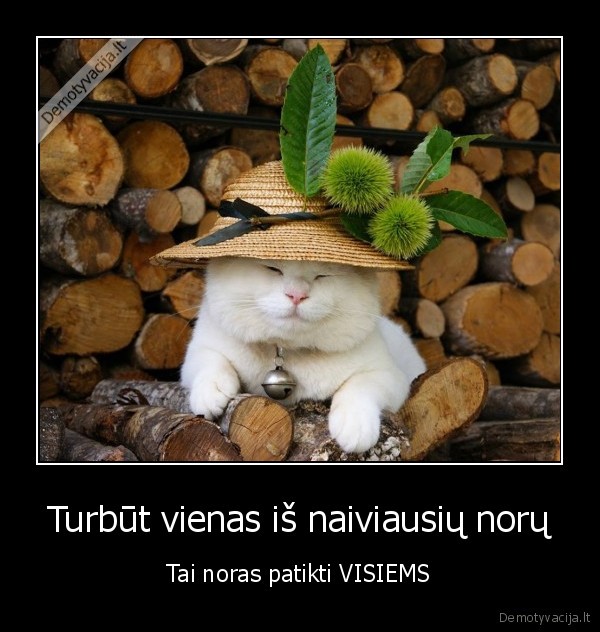 patikimas,nepatinka,norai