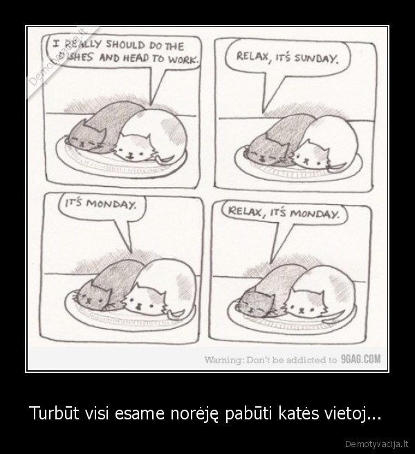 relax, all, day, all, night