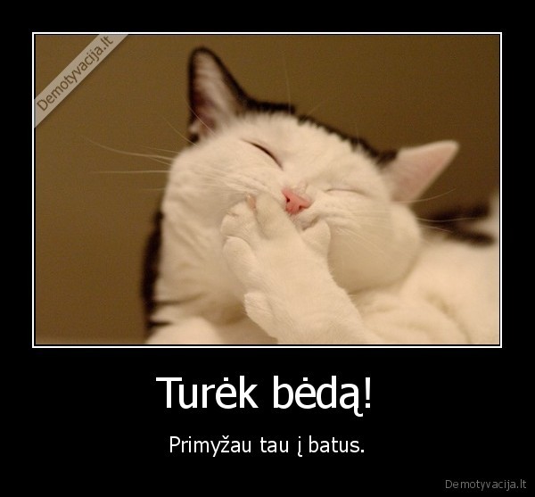 Turėk bėdą!