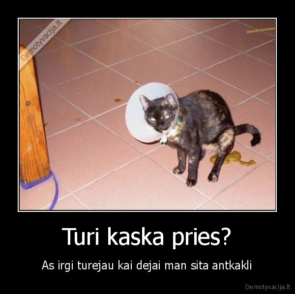 Turi kaska pries?