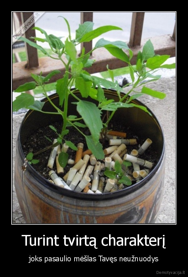 Turint tvirtą charakterį