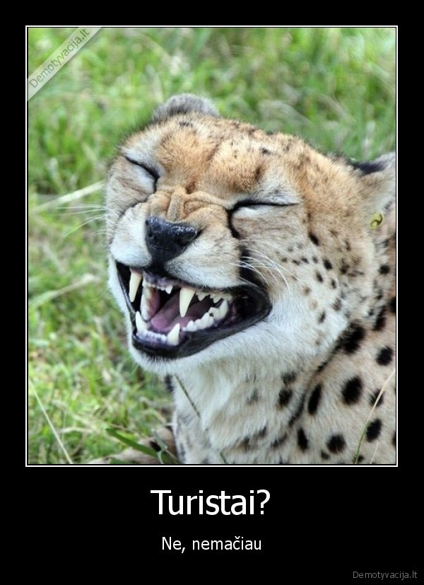 Turistai?