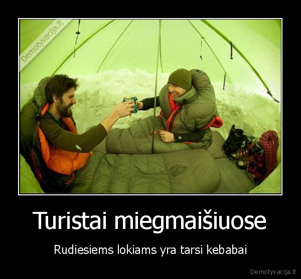 rudieji, lokiai,miegas, miegmaisyje,lokio, puolimas