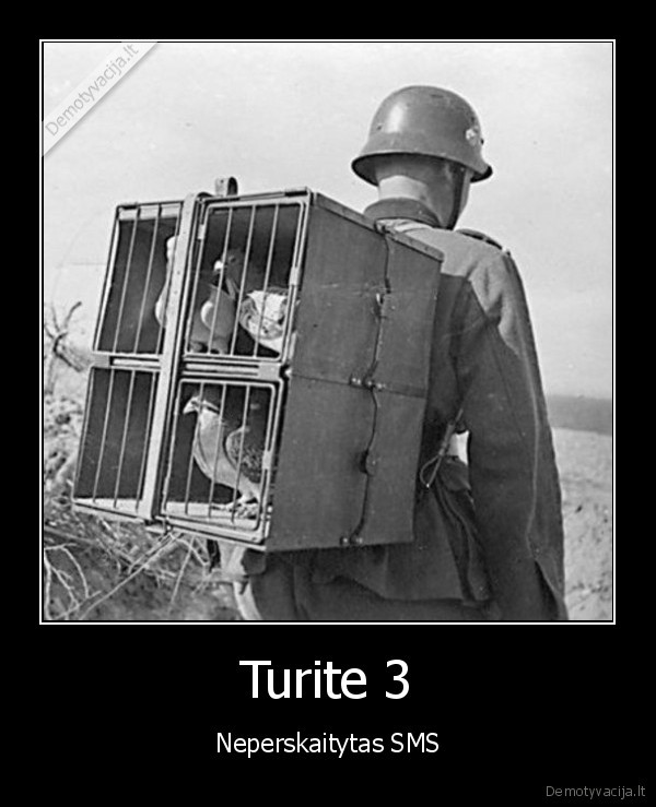 sms,pasto, balandziai,sena, foto