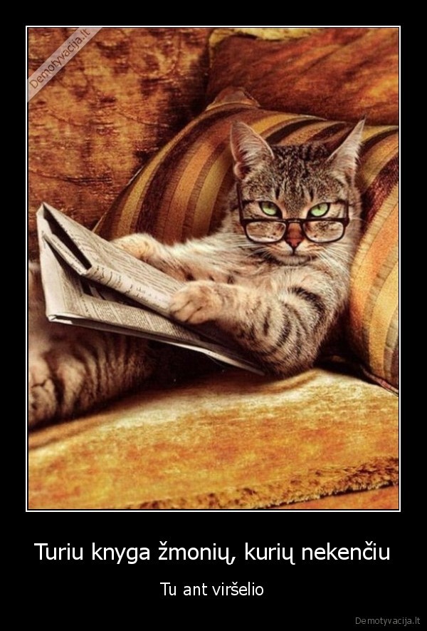 neapykanta,nekentimas,nemegstamas, draugas