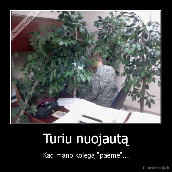 kamufliazine, apranga,sauktiniai