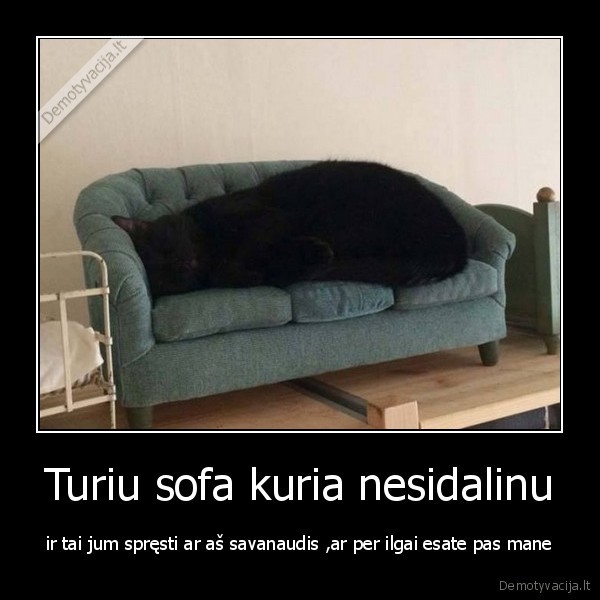 Turiu sofa kuria nesidalinu