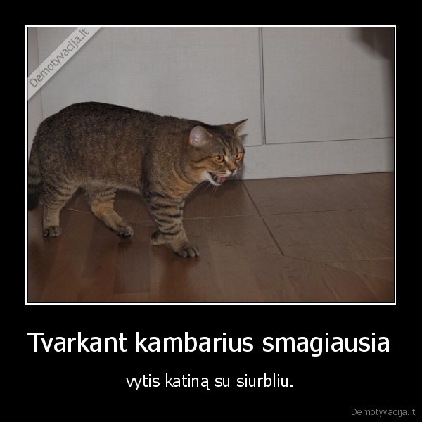 Tvarkant kambarius smagiausia