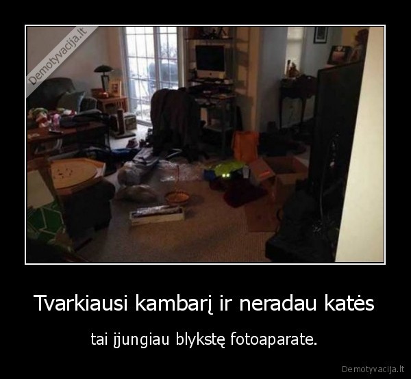 kamabrys,kate,blykste,katinas