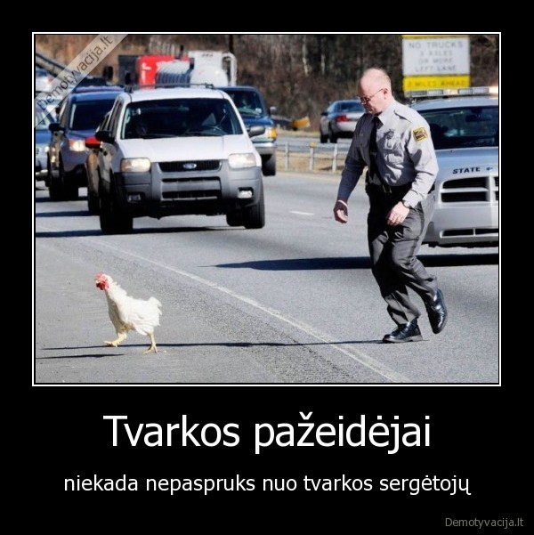 Tvarkos pažeidėjai