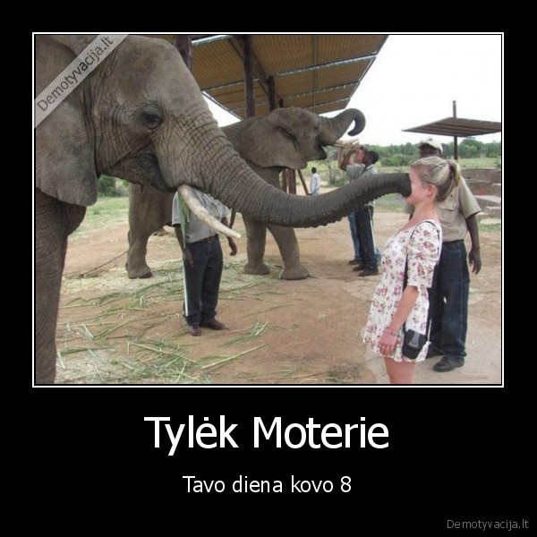 moterys,svente,santykiai,kovo, 8,gyvunai,teisingumas