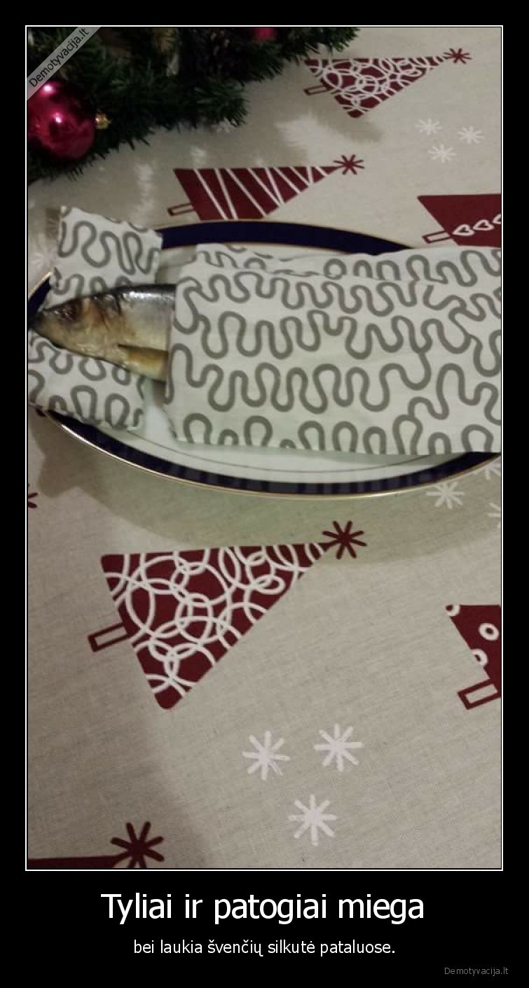 silke,patalai,miegas,kucios,sventes