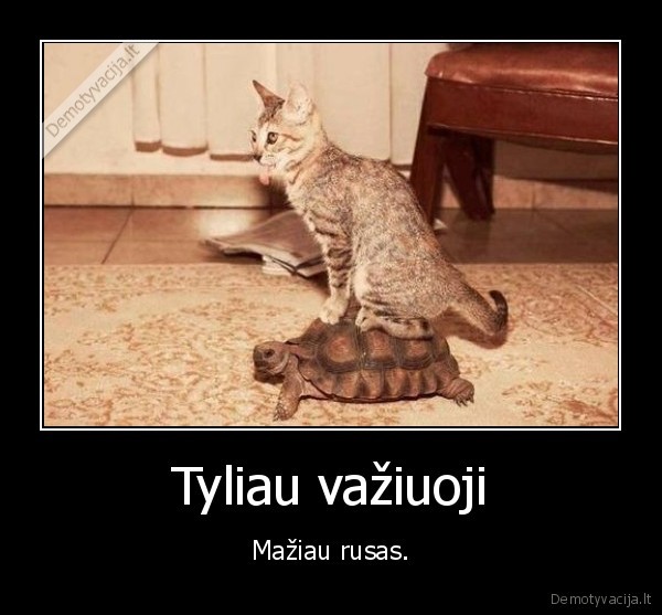 vaziuoti,vezlys,katinas