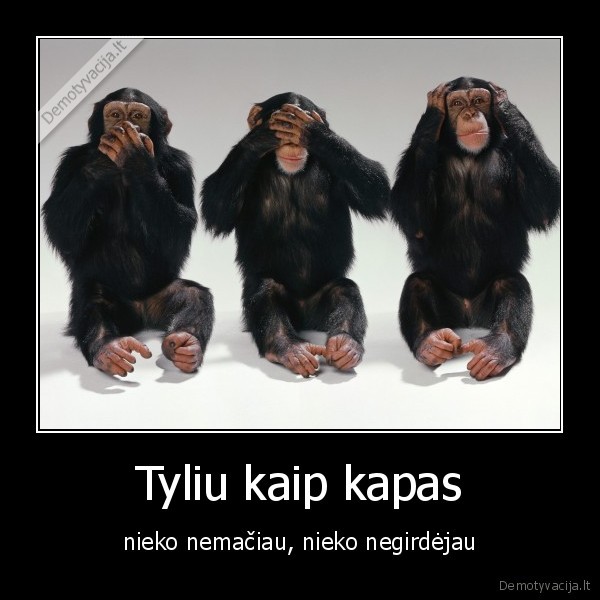 kapas,gyvenimas,nemaciau