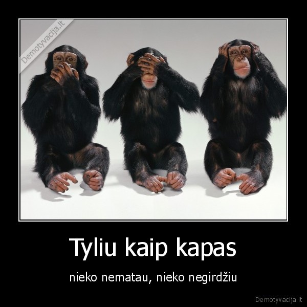 tyliu,kapas,gyvenimas