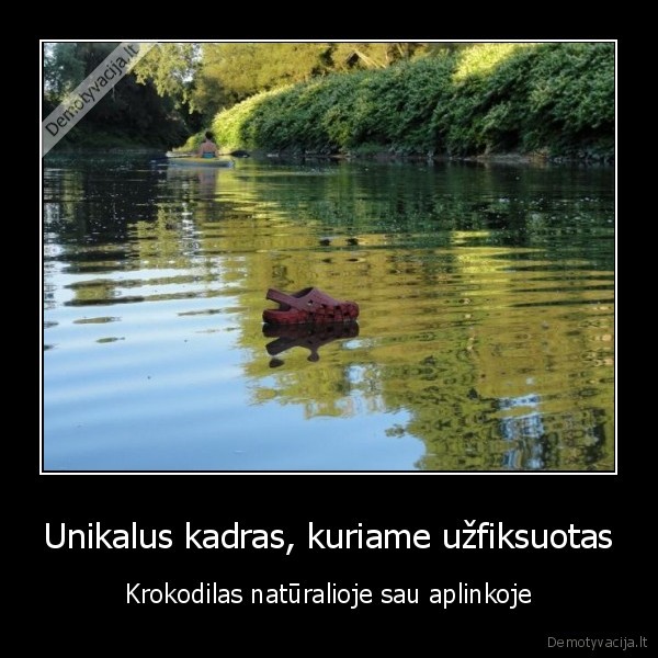 crocs,kroksai,krokodilai