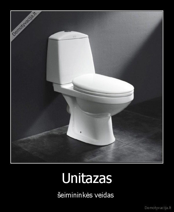 Unitazas