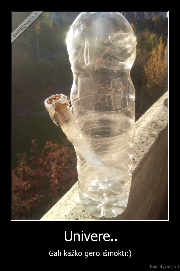 bongas,univeras,mokymai
