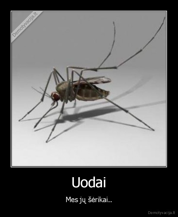 uodai,zmogus,ikandimas