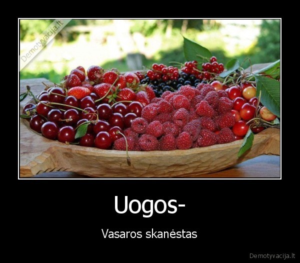 Uogos-