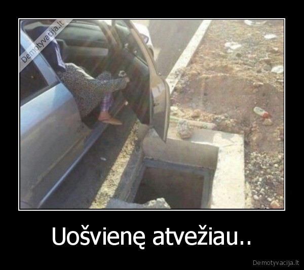 Uošvienę atvežiau..