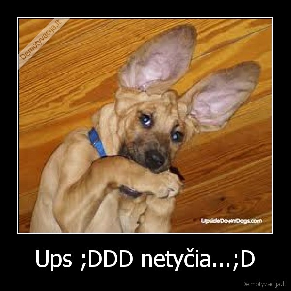 Ups ;DDD netyčia...;D