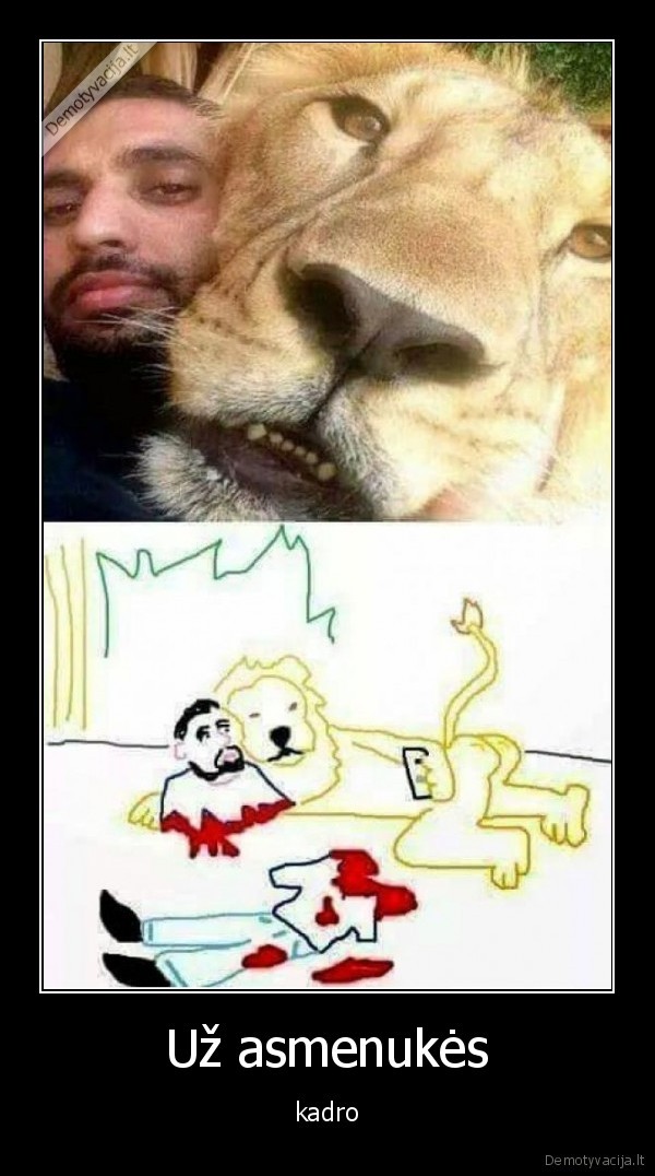 kadras,liutas,selfie