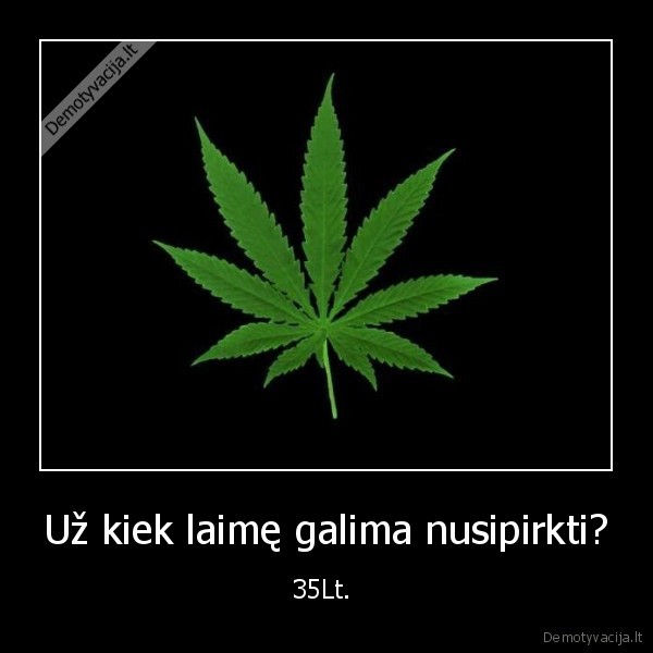 weed,funny,ganja,happy