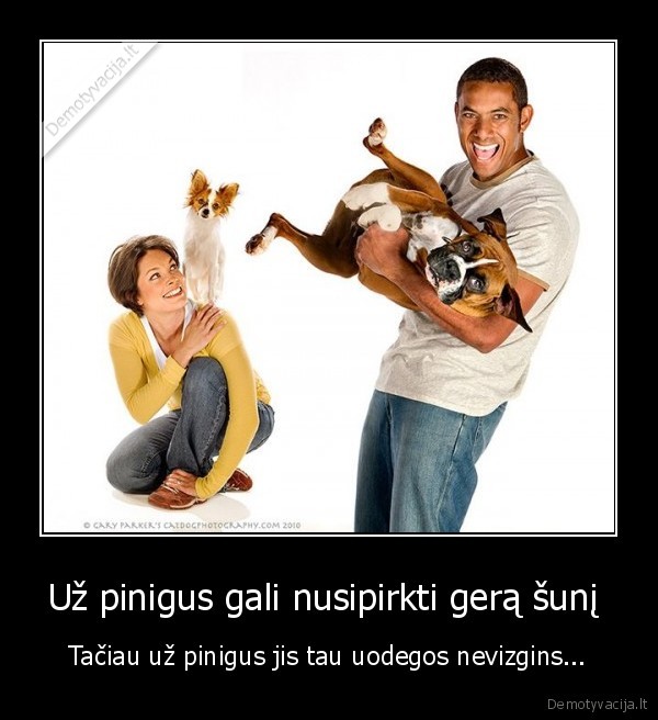 Už pinigus gali nusipirkti gerą šunį 