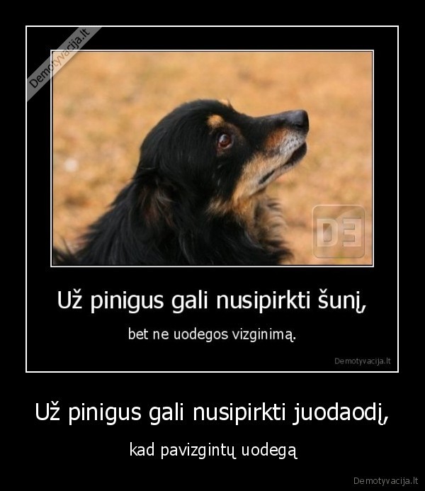 Už pinigus gali nusipirkti juodaodį,